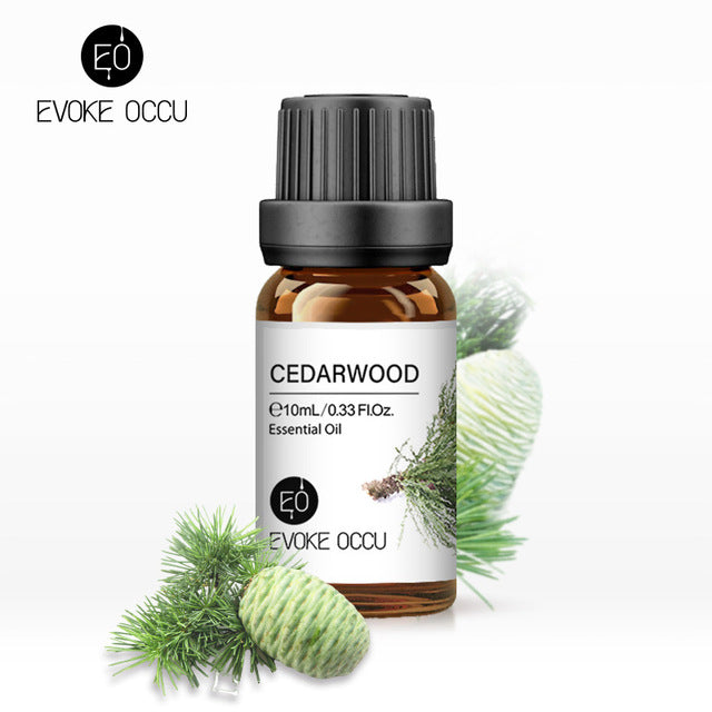 Pure Undiluted Fragrance Oil for DIY Candles 10ml - Bran's Tiv'i Goods