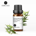 Eucalyptus essential oil bottle with leaves on a white background, featuring Evoke Occu branding.