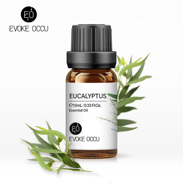 Eucalyptus essential oil bottle with leaves on a white background, featuring Evoke Occu branding.