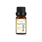 Pure Undiluted Fragrance Oil for DIY Candles 10ml - Bran's Tiv'i Goods