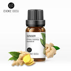 Pure Undiluted Fragrance Oil for DIY Candles 10ml - Bran's Tiv'i Goods
