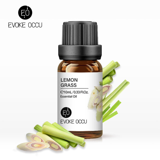 Pure Undiluted Fragrance Oil for DIY Candles 10ml - Bran's Tiv'i Goods