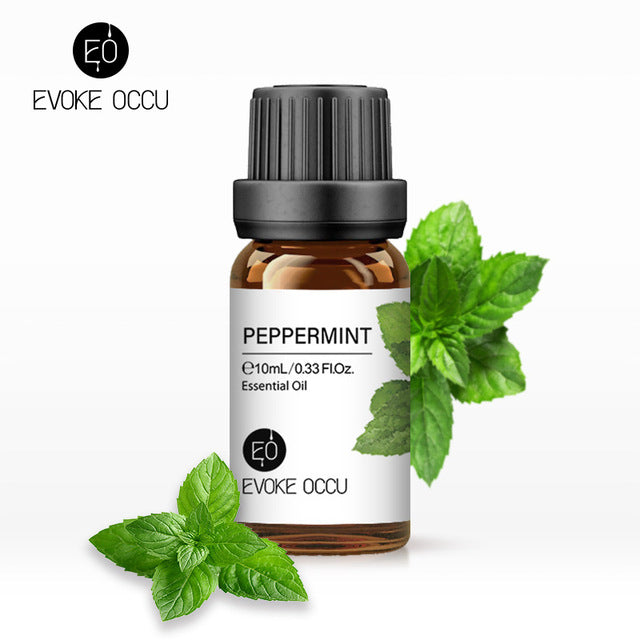 Pure Undiluted Fragrance Oil for DIY Candles 10ml - Bran's Tiv'i Goods