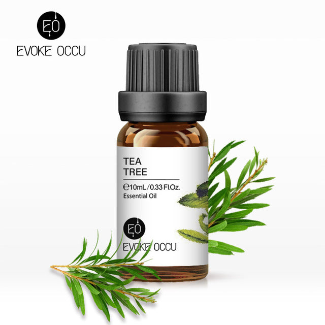 Pure Undiluted Fragrance Oil for DIY Candles 10ml - Bran's Tiv'i Goods