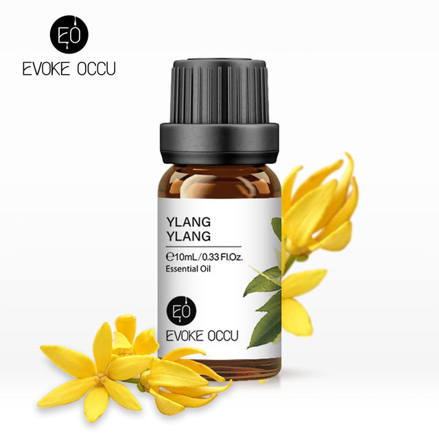 Pure Undiluted Fragrance Oil for DIY Candles 10ml - Bran's Tiv'i Goods